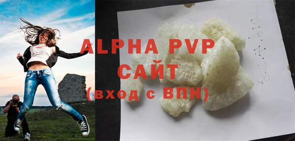 индика Богородицк