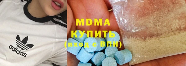 индика Богородицк