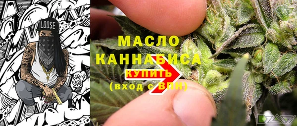 индика Богородицк
