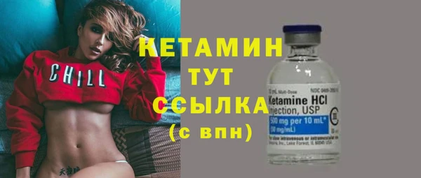 индика Богородицк