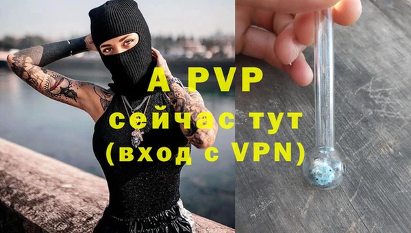 индика Богородицк