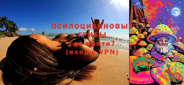 индика Богородицк