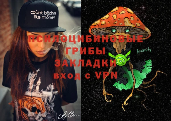 индика Богородицк