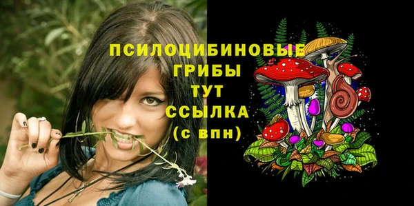 герыч Богородск