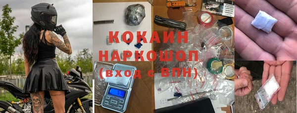 индика Богородицк
