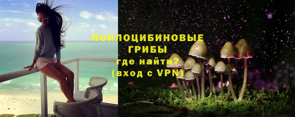 индика Богородицк