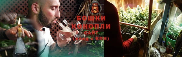 индика Богородицк
