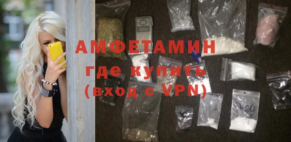 индика Богородицк