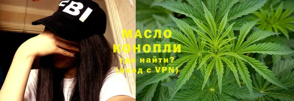 индика Богородицк